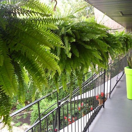 Studio Living Bed & Breakfast Montreal Exterior foto