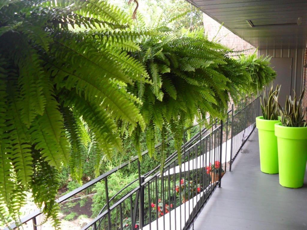 Studio Living Bed & Breakfast Montreal Exterior foto